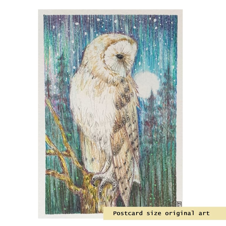 Small barn owl original art, original drawing, bird artwork, letterbox gift