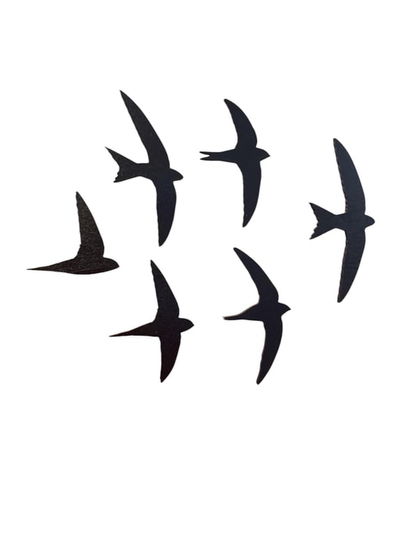 Set of 6 Laser-Cut Swift Birds in Flight – Painted Black – Handmade in Devon