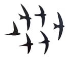 Set of 6 Laser-Cut Swift Birds in Flight – Painted Black – Handmade in Devon