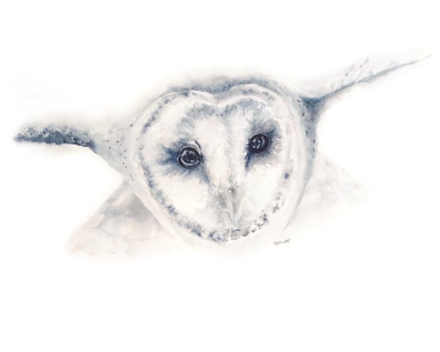 Barn Owl Giclée Watercolour Print