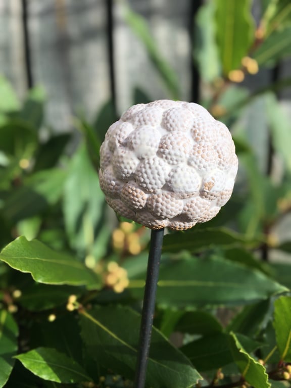 Ceramic garden stake, handmade garden art, indoor or outdoor garden stake