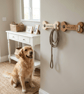 Personalised Dog Lead Hook, Dog Lead Holder - Image 1