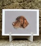 Wirehaired Pointer Dog Fine Art Print - Image 2