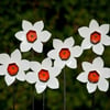 Narcissus Daffodil Orange & White Flower Ornament, Home & Garden Decoration