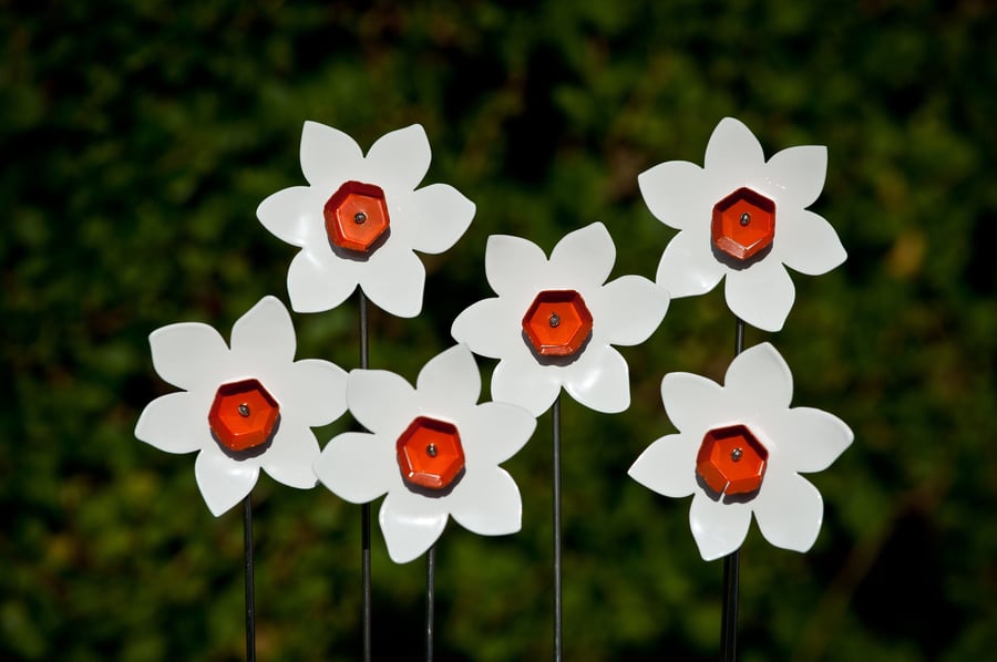 Narcissus Daffodil Orange & White Flower Ornament, Home & Garden Decoration