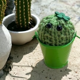 Green Handmade knitted Cactus Metal Bucket Wooden Flower - Gifts - Plant Lovers