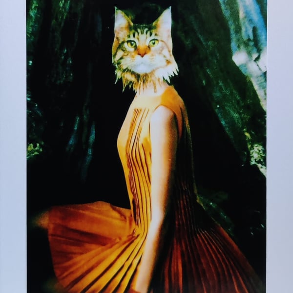 Cat in Sleepy Hollow 