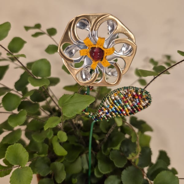 Gold, silver, yellow & red flower plant companion perfect for pot plants