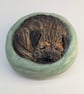 Border Terrier Yorkshire Pudding - 13