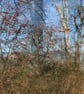 'Winter Day, Cefn Gorwydd' - Image 4