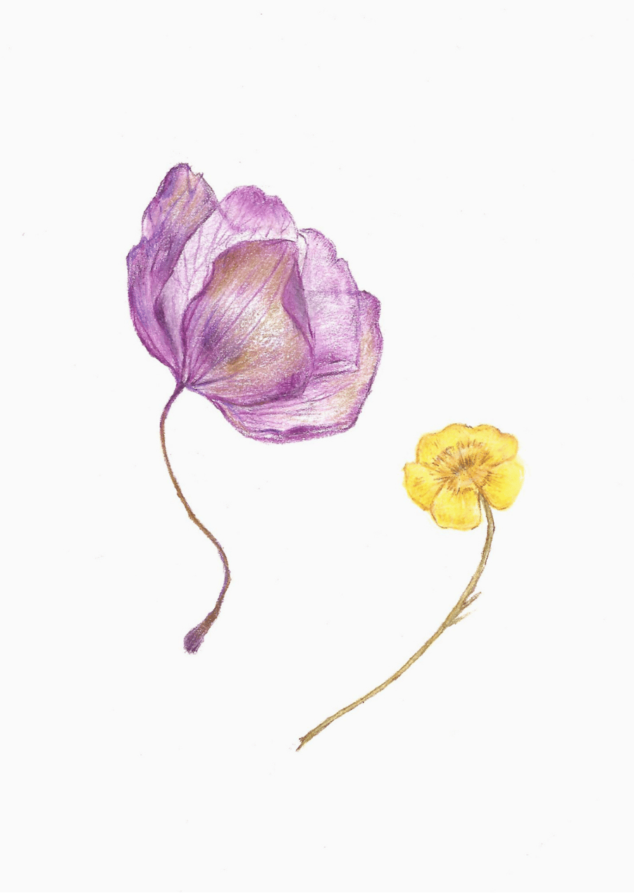 Bespoke, Original art, pencil drawing, floral pencil commission, flower art, 