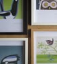 APRIL SALE - A4 British Bird Print -  Little Owl     - Image 3