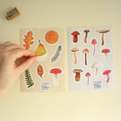Set of 2 sticker sheets - Woodland and Mushrooms