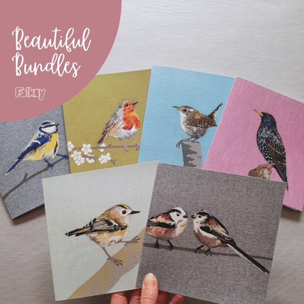 Beautiful Bundle for Bird Lovers, 6 garden birds, blank greetings cards