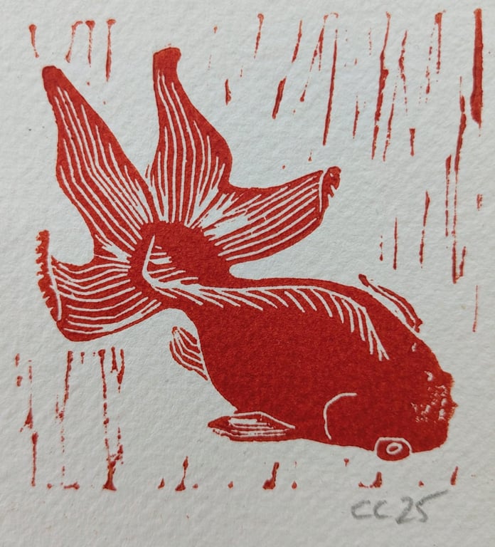 Fantail Goldfish