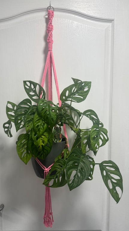 Pink macrame hanging plant holder