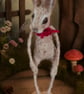 Skinny Mini Hare