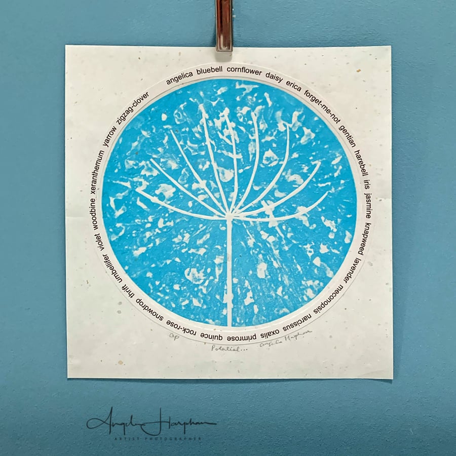 Agapanthus Seedhead Linoprint Circle with A-Z Wild Flower Roundel - Potential
