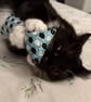 Catnip Kicker Cat Toys Mice design - Image 2