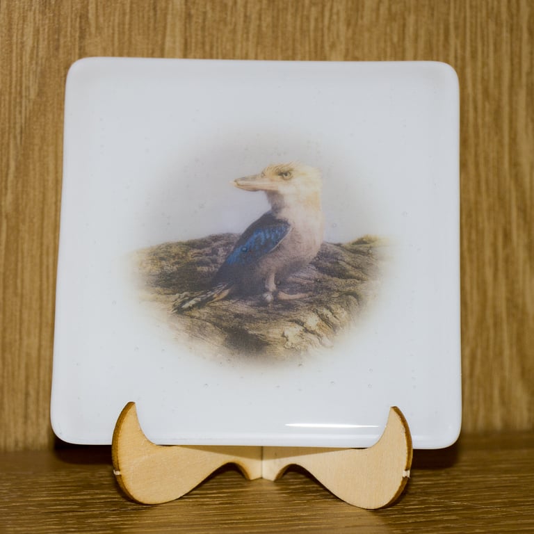 Bruce the Kookaburra - Fused Glass Coaster - 9307