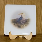 Bruce the Kookaburra - Fused Glass Coaster - 9307