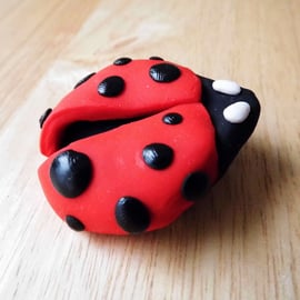 Polymer Clay Ladybird Brooch - Jewellery