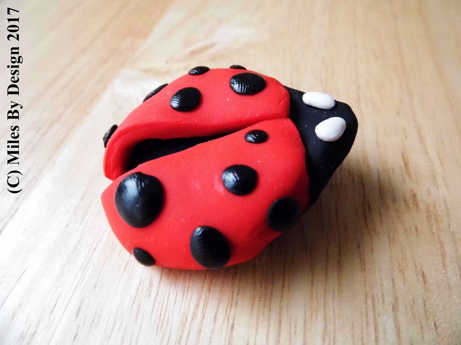 Polymer Clay Ladybird Brooch - Jewellery