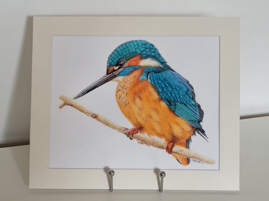 Picture, wall hanging, fine art print. Kingfisher fine art print (mounted)