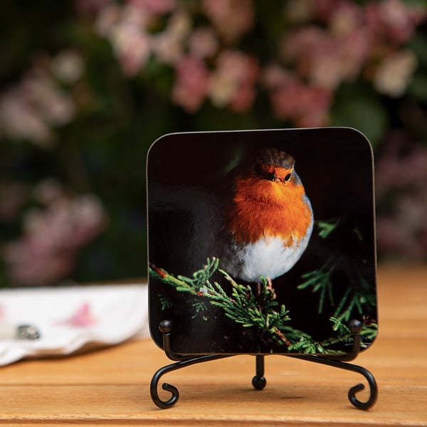 Robin Wooden Coaster - Original Animal Photo Gifts - Wildlife Scene Coaster - Dr