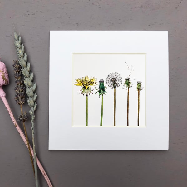 'The Dandelion' Mini Mounted Print