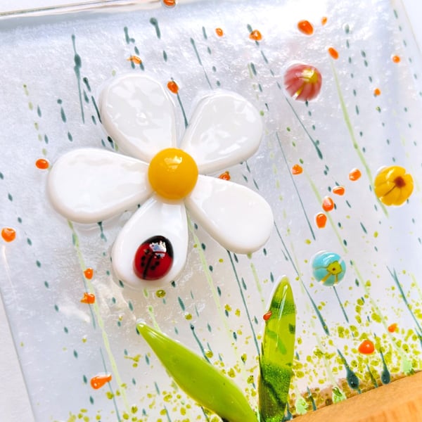 Daisy panel