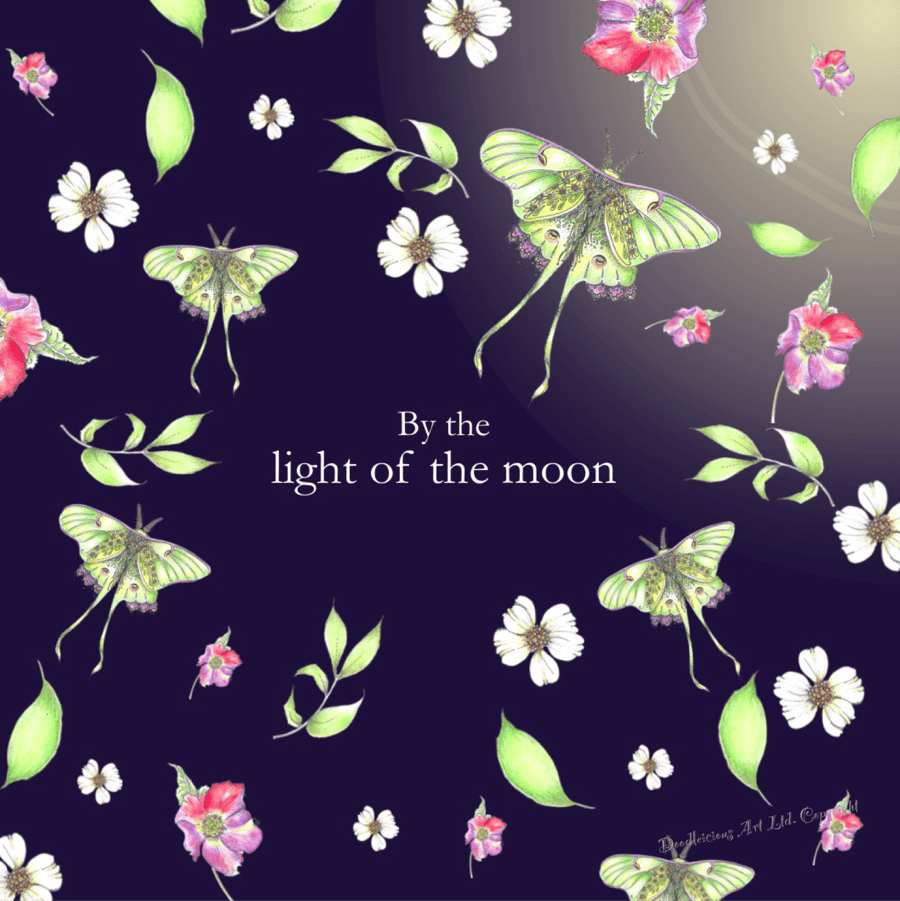 By the light of the Moon Greeting card 