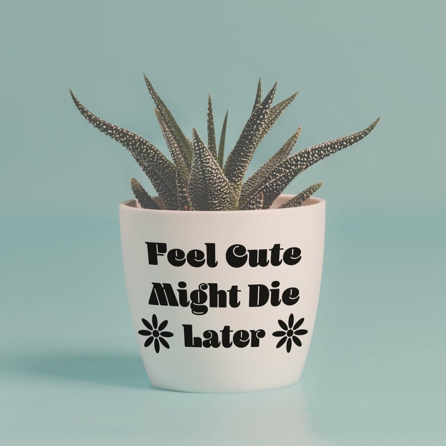 Feel Cute Might Die Plant Pot Vinyl Sticker - Funny Plant Gift, Quote Decor