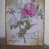 Vintage Rose Card