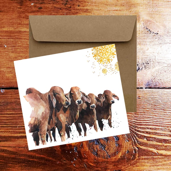 Red Brahman Cattle Square Christmas Card(s) Single Pack of 6.Brahman Cattle card