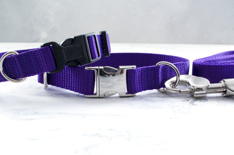Plain Webbing Dog Collar - Purple