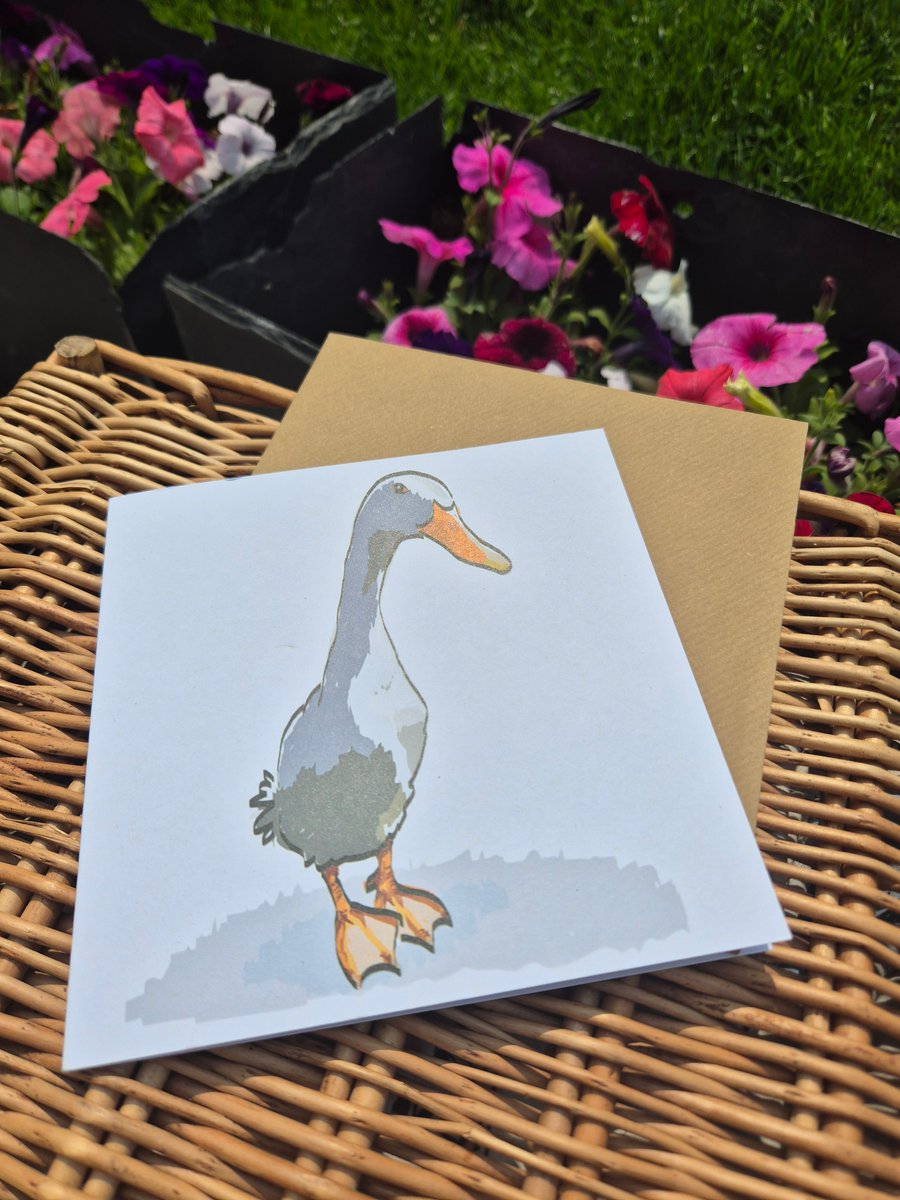 Eco greeting cards, pack of 4 - animal & bird designs
