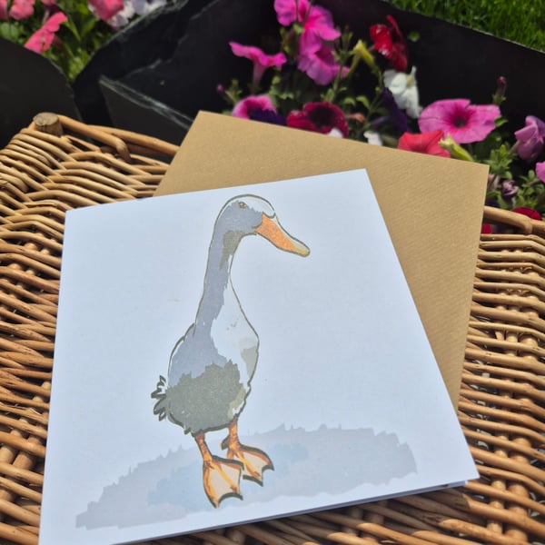Eco greeting cards, pack of 4 - animal & bird designs