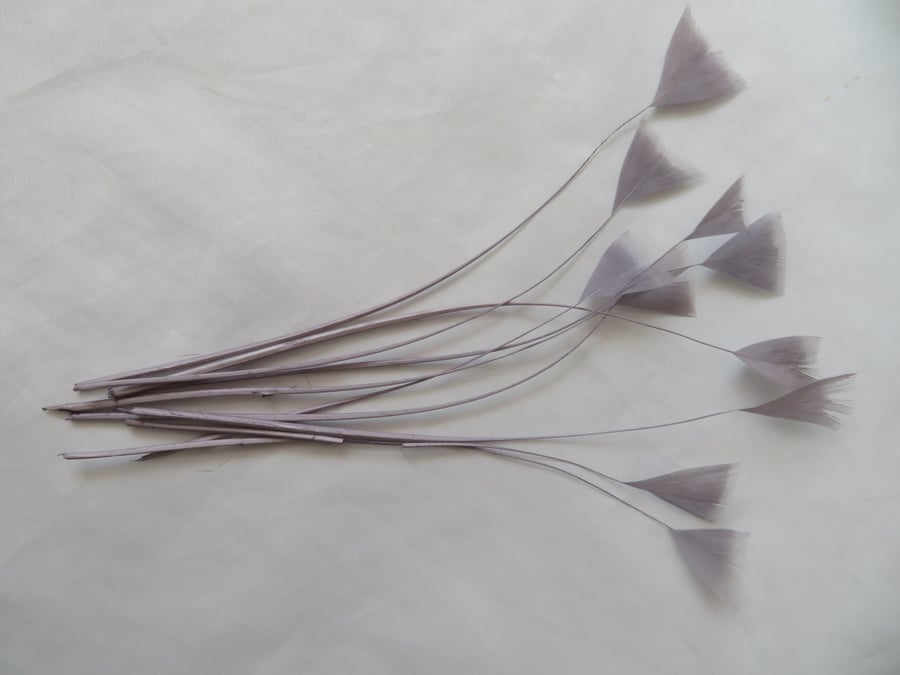 Pewter Grey Natural Tip Coque Feathers Millinery Hat 