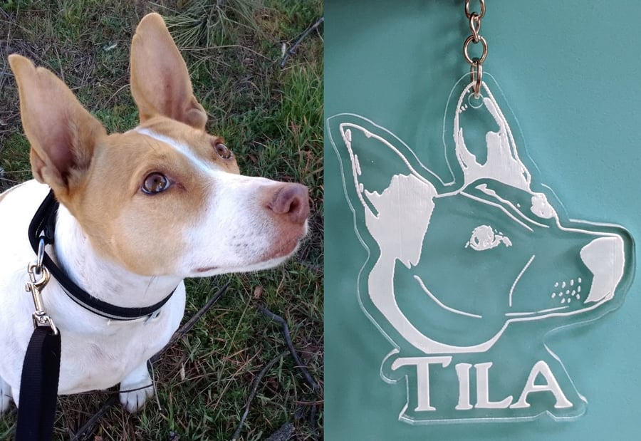 Custom pet portrait acrylic keyring Pet memorial keyring Pet gift Engraved