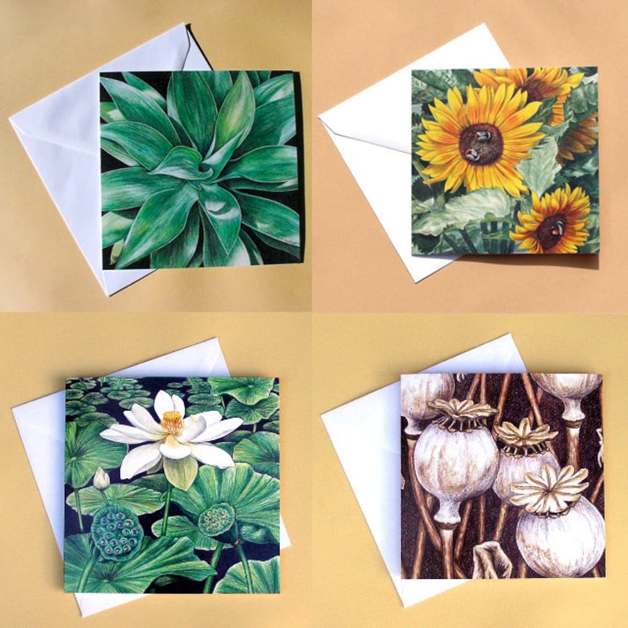 Greetings Card - Blank - Set of 4 Plants Flowers Leaves and Seeds