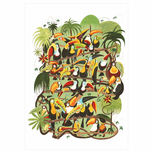 A5 Toucan Card