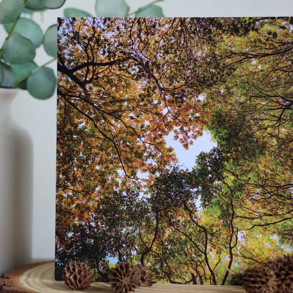 Heart of the Canopy - Shipley Glen Woods - Blank Greetings Card