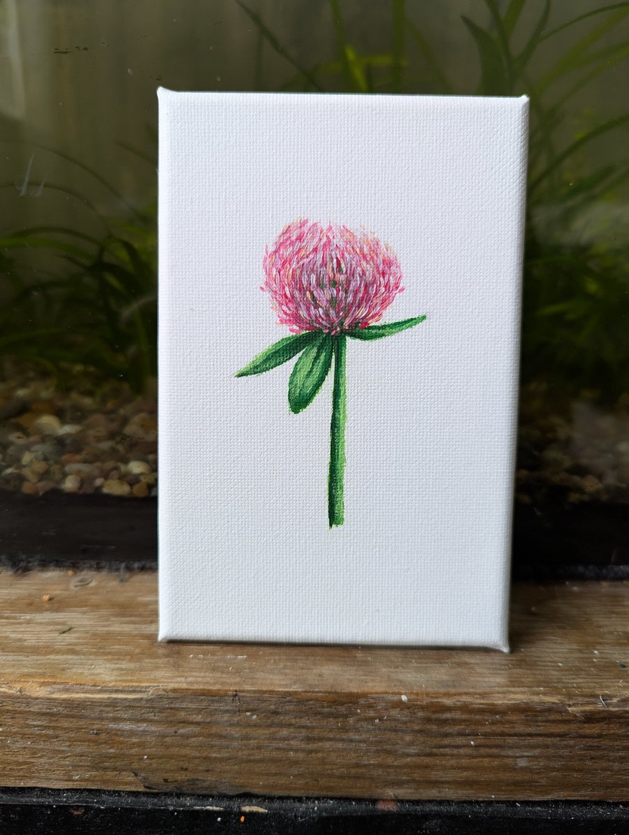 Red Clover Flower Acrylic Painting 