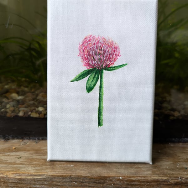 Red Clover Flower Acrylic Painting 