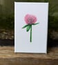 Red Clover Flower Acrylic Painting 