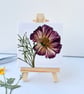 Real Pressed Flower Mini Canvas on Wooden Easel, Real Cosmos, Mini Art - Image 8