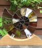 Ammonite. Stained Glass - Image 4