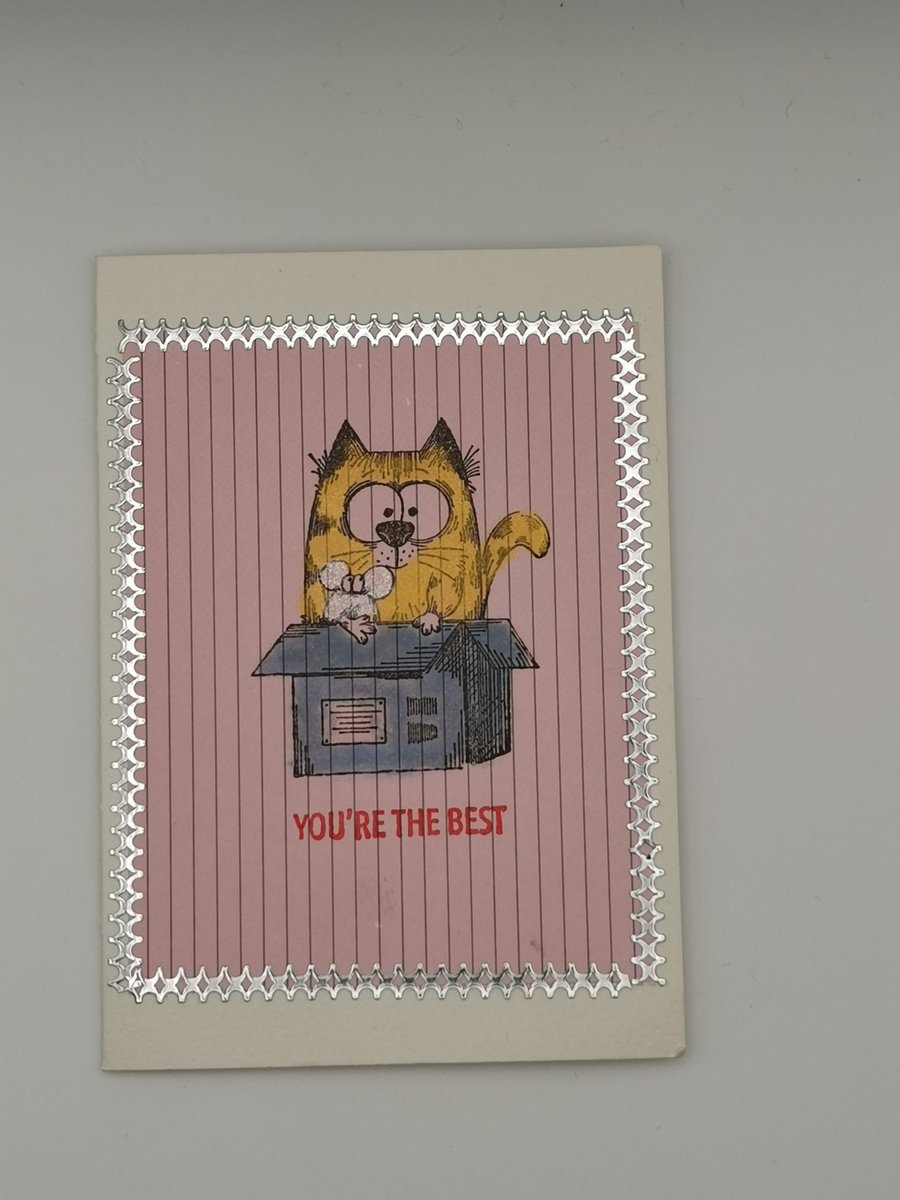 Image of Handmade Cat In A Box Card