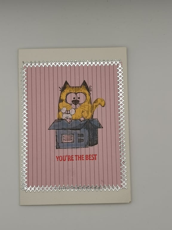 Handmade Cat In A Box Card